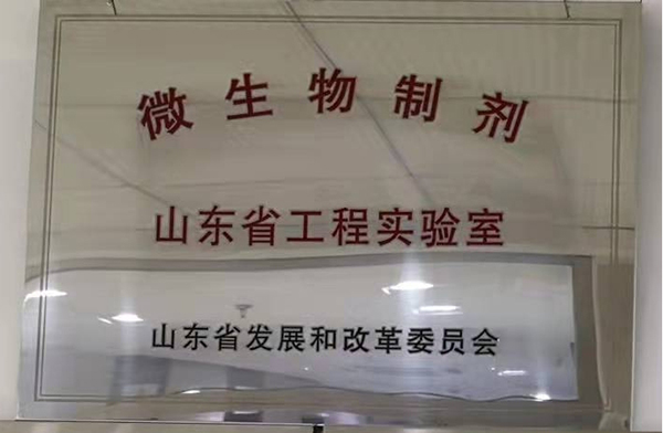 榮譽(yù)資質(zhì)